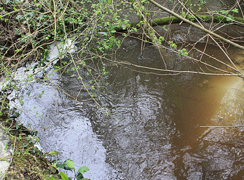 Вода реки Битха приобретает бурый оттенок из-за стоков с действующего полигона бытовых отходов в п. Лоо г. Сочи. Фото "Кавказского Узла"