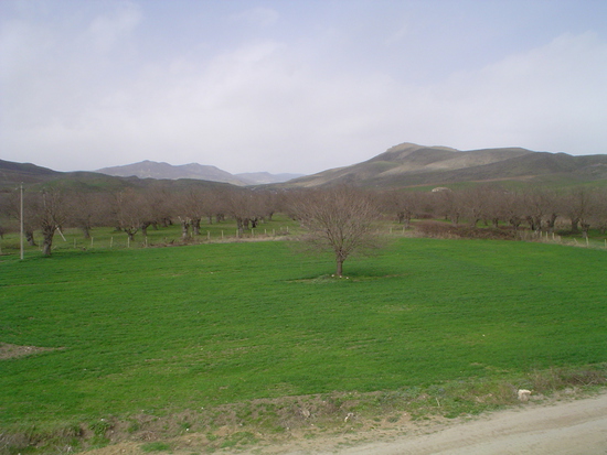 Мартунинский район. тутовый сад. Нагорный Карабах.