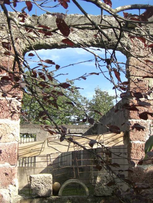 Разрушенный дома в селе Баргеби (нижний Гали). На время сельскохозяйственного сезона хозяева возвращаются в Баргеби и живут в маленьком сарае рядом с руинами дома. Абхазия, март 2010 г. Фото: © Human Rights Watch.