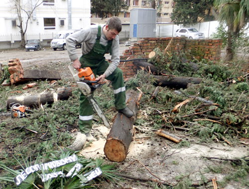 Рабочий распиливает уничтоженные деревья на территории детского центра в Сочи, 11 января 2012 г. Фото Светланы Кравченко для "Кавказского узла"