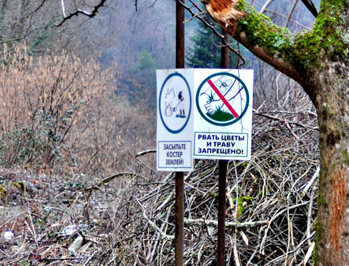 В долине реки Шахе. Февраль 2013 г. Фото предоставлено членами "Экологической вахты по Северному Кавказу"