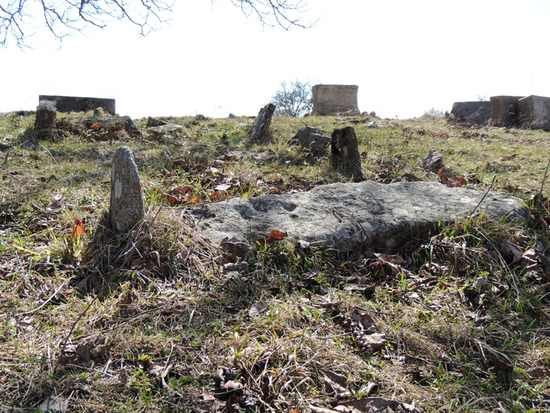 Старое  кладбище с.Мец шен, с какого века некоторые камни, трудно определить.
