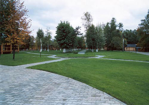 Деревья хвойных и лиственных пород. Фото с сайта www.baugroup.ru
