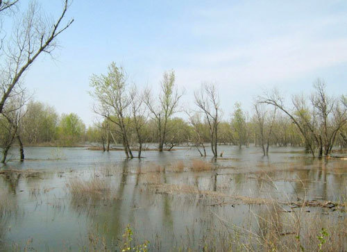 Весенний паводок. Фото "Кавказского Узла"