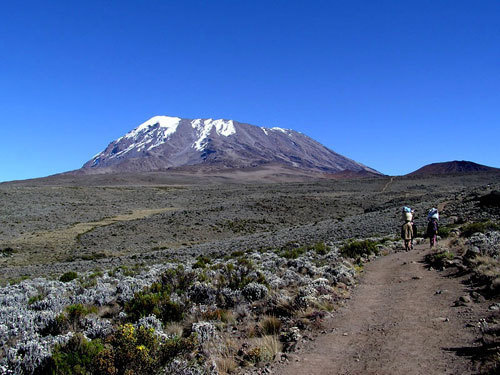 Гора Килиманджаро. Фото с сайта http://ru.wikipedia.org