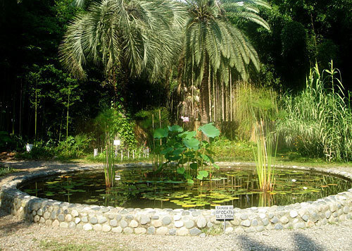В Сухумском Ботаническом саду. Фото "Кавказского Узла"