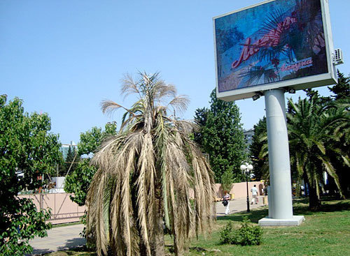 Краснодарский край, Сочи. Фото "Кавказского Узла"