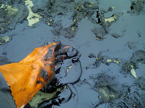 Нефть. Фото с сайта http://commons.wikimedia.org