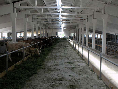 Животноводческий комплекс в Кизлярском районе Дагестана. Фото: Агентство инвестиций РД