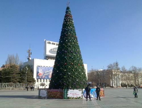 Новогодняя елка в Махачкале. Дагестан, 30 декабря 2011 г. Фото Ахмеднаби Ахмеднабиева для "Кавказского узла"
