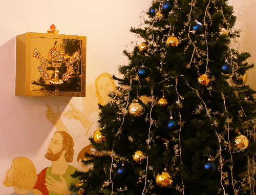 Рождественская ель. Фото Эммы Марзоевой для "Кавказского узла"
