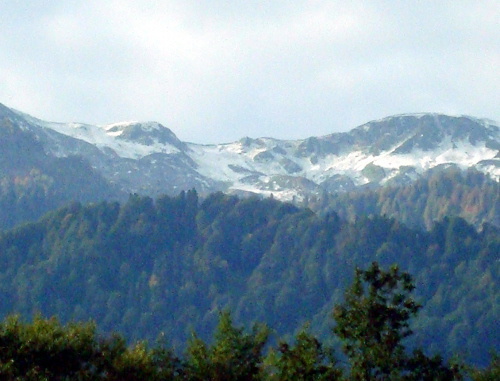 Вид с горы Аибга на предполагаемые территории для создания снегохранилищ. Фото Светланы Кравченко для "Кавказского узла"