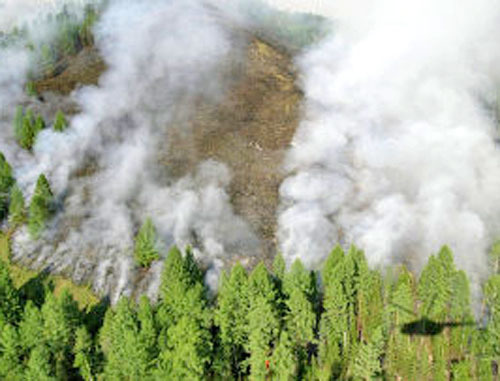 Пожар в лесу. Фото http://ecocollaps.ru/