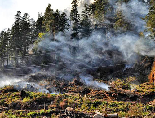 Лесной пожар. Фото МЧС России, http://www.mchs.ru/