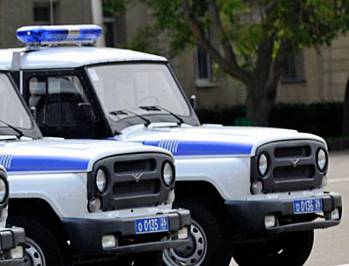 Автомобили полиции. Фото: Дмитрий Степанов, http://www.stapravda.ru