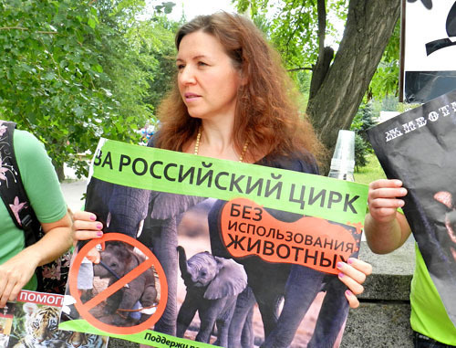 Пикет против использования животных в цирковых представлениях прошел в Волгограде. 3 августа 2013 г. Фото Татьяны Филимоновой для "Кавказского узла"