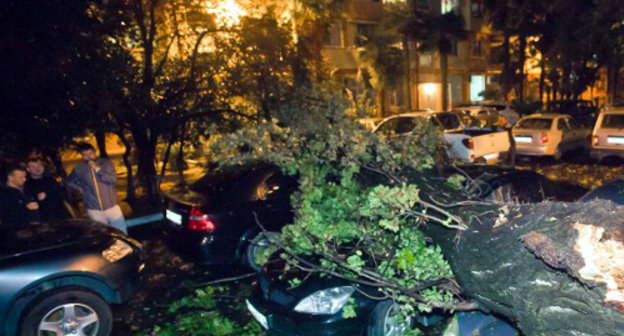 Последствия урагана в Сочи 26 сентября 2013 г. Фото: http://www.privetsochi.ru/blog/extreme_sochi/34804.html