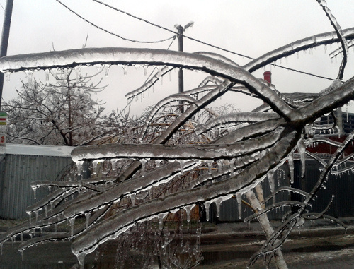 После ледяного дождя в Краснодаре. 21 января 2014 г. Фото Натальи Дорохиной для "Кавказского узла"