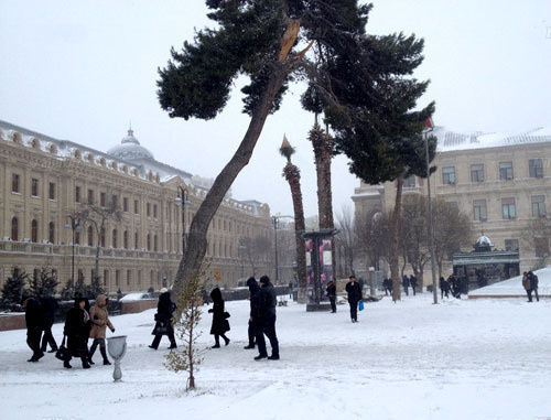 Снег в Баку. Февраль 2014 г. Фото http://news.day.az/