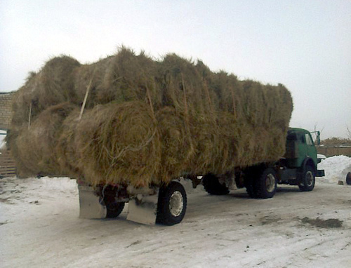 Грузовик с сеном для продажи. Волгоградская область, январь 2014 г. Фото: http://www.avito.ru/volgograd/tovary_dlya_zhivotnyh/seno_272217947
