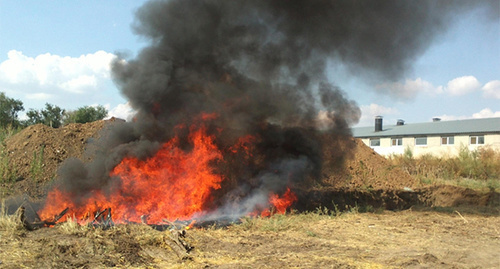 Пожар в промышленной зоне. Фото: МЧС России по РО http://www.kp.ru/online/news/1831845/ 