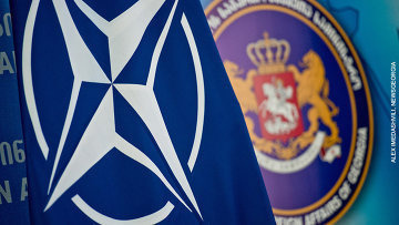 Символика НАТО и Грузии. Фото Александра Имедашвили, NEWSGEORGIA, http://www.newsgeorgia.ru/politics/20140904/216927102.html