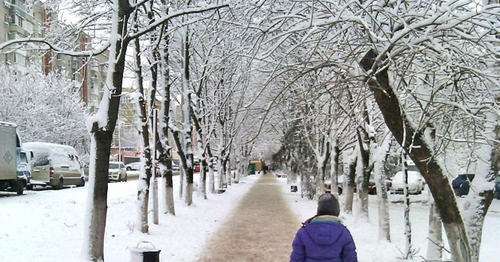 Снегопад в Краснодаре. Фото Натальи Дорохиной для "Кавказского узла"