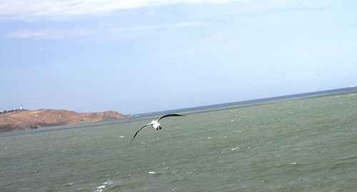 Вид на Керченский залив. Фото Нины Тумановой для "Кавказского узла"