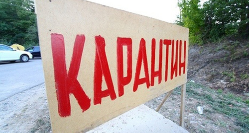 Табличка "Карантин". Фото: Юрий Гречко / Югополис, http://www.yugopolis.ru/news/incidents/2010/09/13/6198/proisshestviya