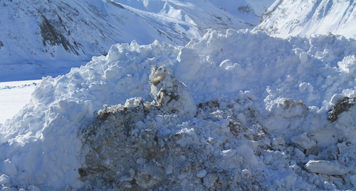 Снежный сугроб на горной дороге. Фото Ахмеда Альдебирова для "Кавказского узла"