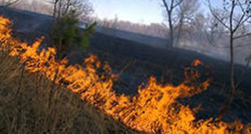 Лесной пожар. Фото: http://05.mchs.gov.ru/pressroom/news/item/966026/
