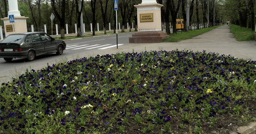 Клумба, где якобы была обнаружена бомба в Нальчикском парке. 29 апреля 2015 г. Фото Людмилы Маратовой для "Кавказского узла"