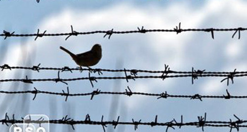 Птичка на колючей проволоке. Фото: http://rsonews.org/set/3l/004562.jpg