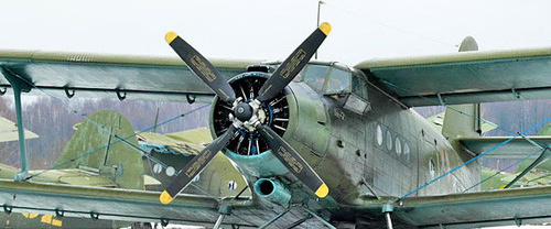 Самолет Ан-2. Фото: Dmitry A. Mottl https://ru.wikipedia.org