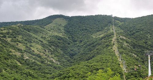Горы возле Геленджика. Фото: Alexxx Malev https://ru.wikipedia.org
