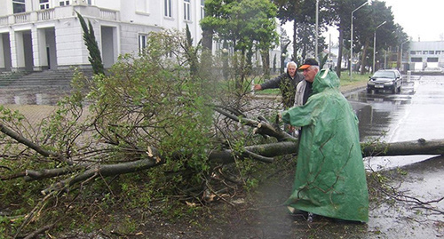 Последствия урагана в Аджарии. Фото: http://batumi.ge/ge/
