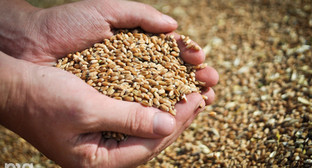 ����: kavkaz-uzel.ru