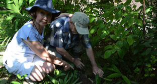  ������ ������ �������� ���� ����������� ����������� ��������� ����� 