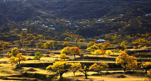  ������������ ����������� �������� ��������� �������� ��������������� 