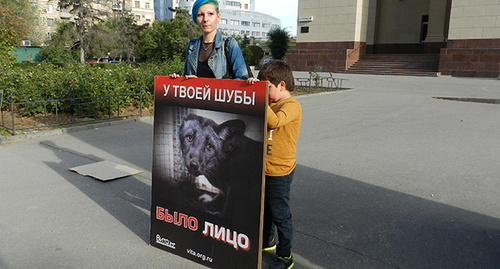 Участники пикета в Волгограде. Фото Татьяны Филимновой для "Кавказского узла"