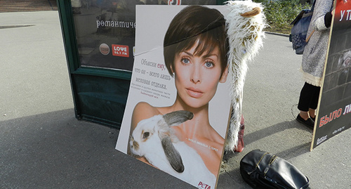 Плакат пикета в Волгограде. Фото Татьяны Филимновой для "Кавказского узла"