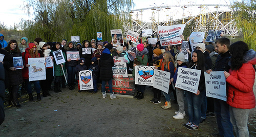 Участники митинга в Волгограде 05.11.2016. Фото Татьяны Филимоновой для "Кавказского узла"