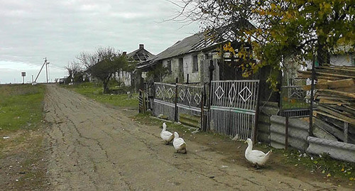 Единственная улица хутора МТФ 1 поселка Волна в Темрюкском районе. Фото Анны Грицевич для "Кавказского узла" 