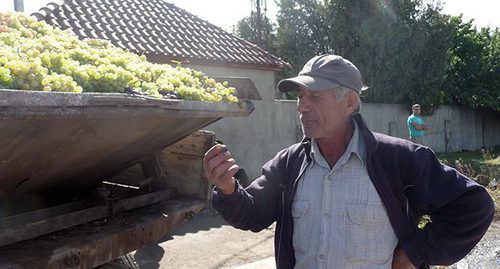 Фермер возле машины с урожаем винограда. Фото Армине Мартиросян для "Кавказского узла"