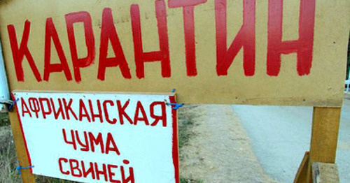 Предупреждающий плакат. Фото: Юрий Гречко / Югополис