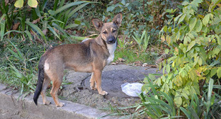  ������� ������� ����� �������� ��������� 