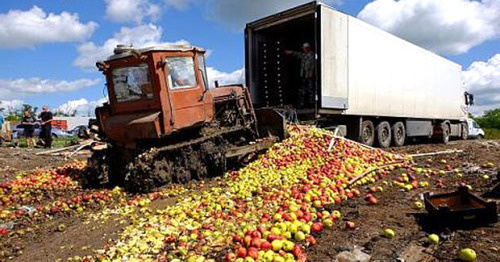 Уничтожение яблок. Фото http://www.donnews.ru/