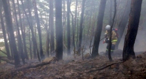 Лесной  пожар в Кабардино-Балкарии . Фото  http://obj.mchsmedia.ru/news/document1592371