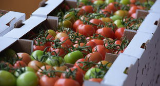  ������� ����������� ��������� ������ �������� ��������� 