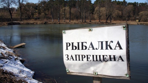 Объявление о запрете рыбалки Фото  http://www.amic.ru/voprosdnya/325700/print/